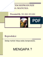 Sistem Reproduks Manusia