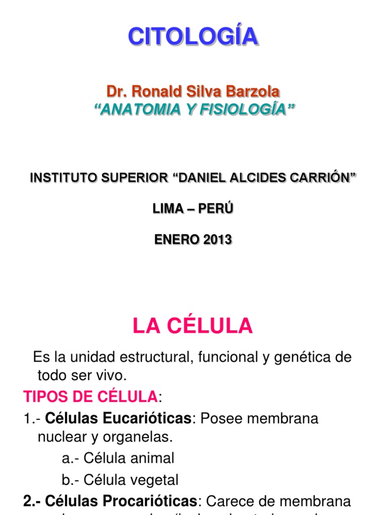 Tipos y Estructura de Células Eucariotas | PDF | Ribosoma | Biología ...