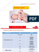 Vacunas Lactante Menor (4)