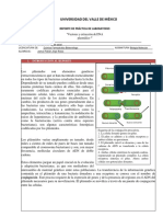 Extracción de DNA Plasmídico (Técnica miniPREP)