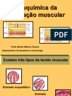 Aula de bioquímica da contração muscular (1)