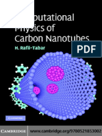 Computational Physics of Carbon Nanotubes