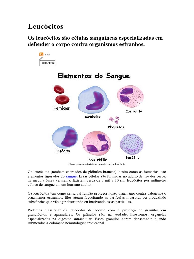 Leucócitos: Defesa e Funções no Corpo | PDF | Glóbulo branco | Sistema ...