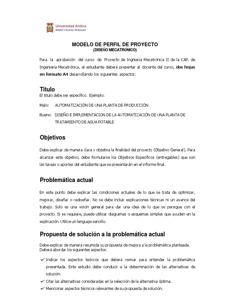 Formato de Perfil de Proyecto | PDF