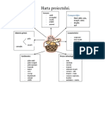 Piinea- harta proiect