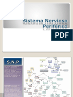 Sistema Nervioso Periférico