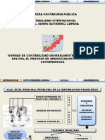 03 NCGA EN BOLIVIA, PROCESO DE ARMINIZACION.pdf