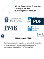0 Temario Piura Xx Peap Udep - Pmb PDF