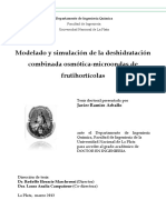 Modelado y simulación de la deshidratación.pdf