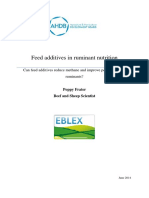 Feed Additives in Ruminant Nutrition FINAL