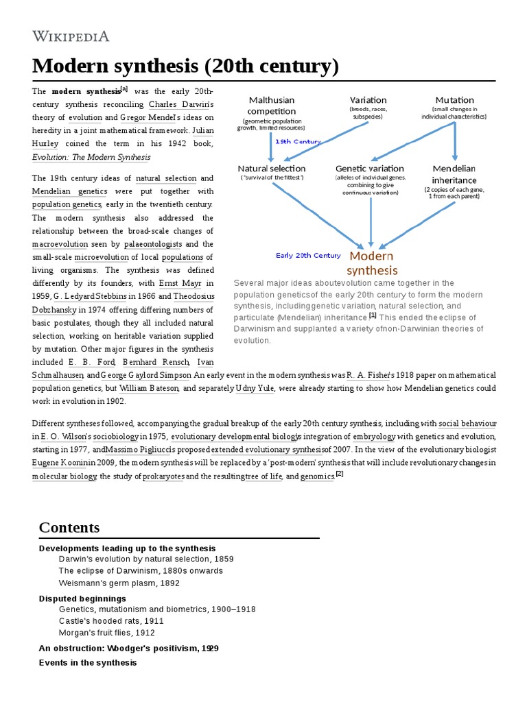 Modern Synthesis (20th Century) Natural Selection Evolution