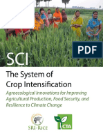 The System of Crop Intensifcation