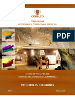 informe_principales_decisiones_rev_p_25_03_2009.pdf