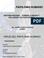 103977473-Virus-Del-Papiloma-Humano-Formas-Clinicas.ppt