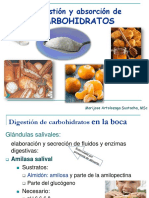 Clase Digestion y Absorcion de Carbohidratos PDF