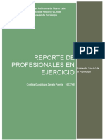 PIA Reporte de Profesionales en Ejercicio