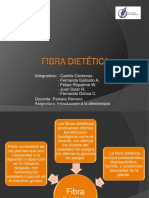 Disertación fibra