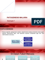 Patogenesis Malaria