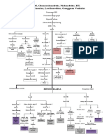 Woc CKD + HD