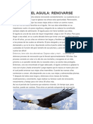 El Reto Del Aguila | PDF