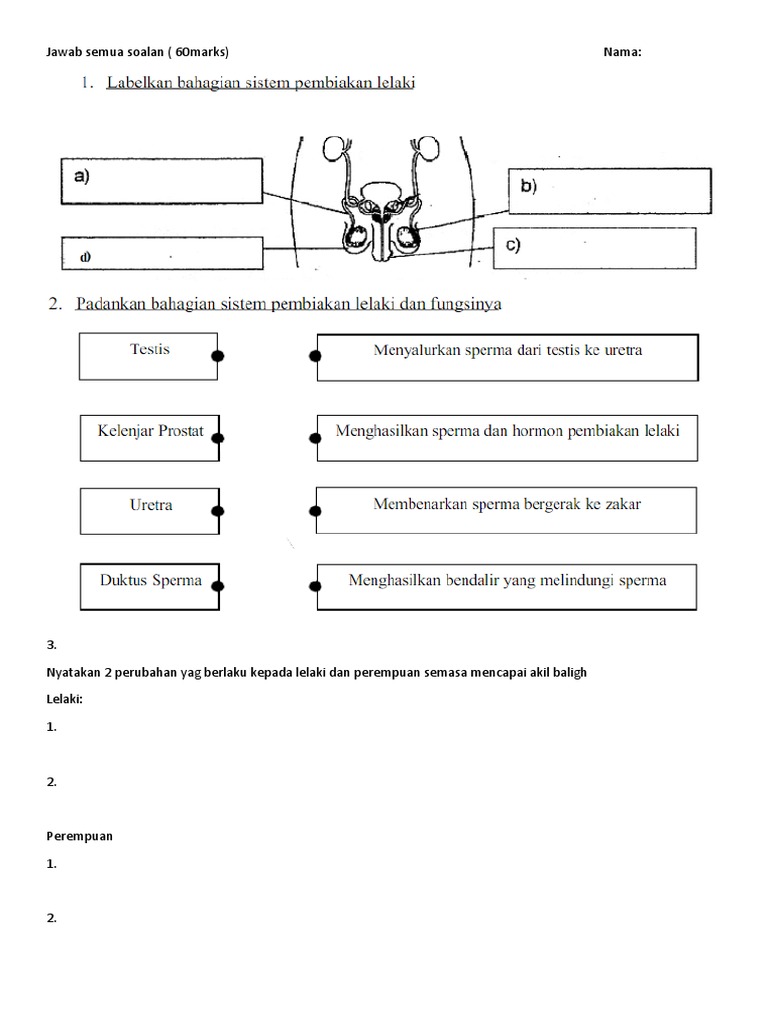 Sains Form 1 Reproduction Exam Pdf