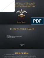 Quechua Plantas Medicinales