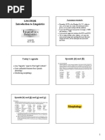 Class11 Morphology 1