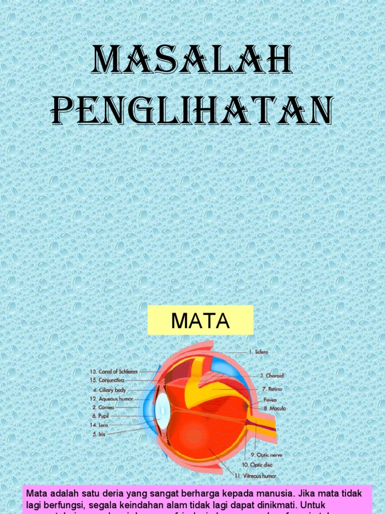 Masalah Penglihatan | PDF