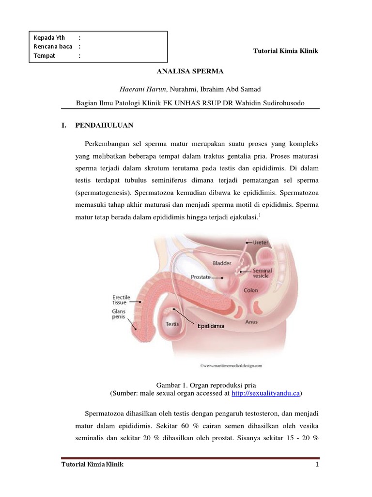 Rohibalar bilan anal jinsiy aloqa film