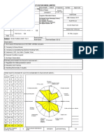 Mace Audit Sheet 