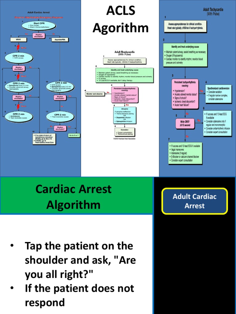 Acls Agorithm Cardiac Arrest Cardiopulmonary Resuscitation