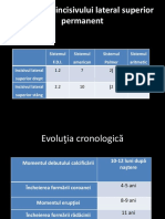 Curs III Morfo 2017-2018