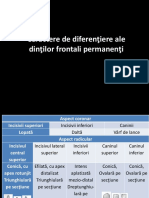 Curs v Morfo 2017-2018