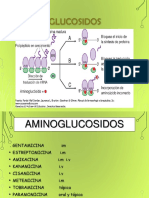 Aminoglucosidos 2018