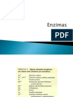 14. enzimas