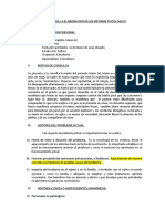 Modelo Informe Psicologico