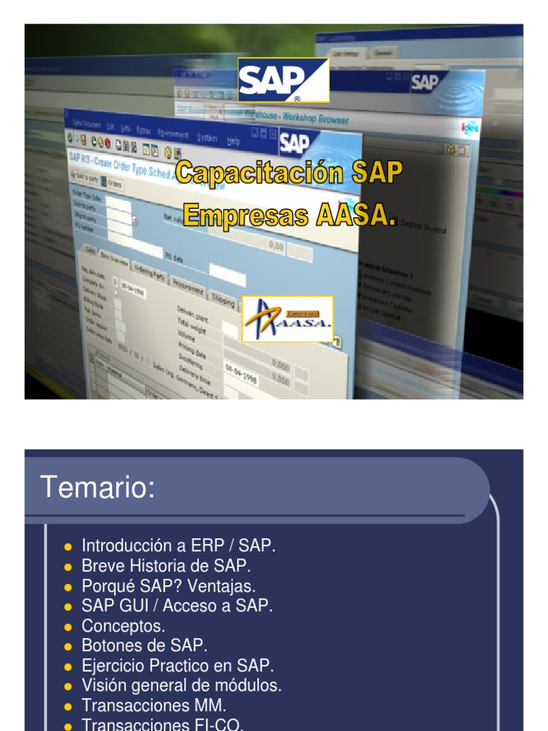 Capacitación SAP - PPT | PDF | Sap Se | Software