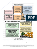 Remédios Constitucionais