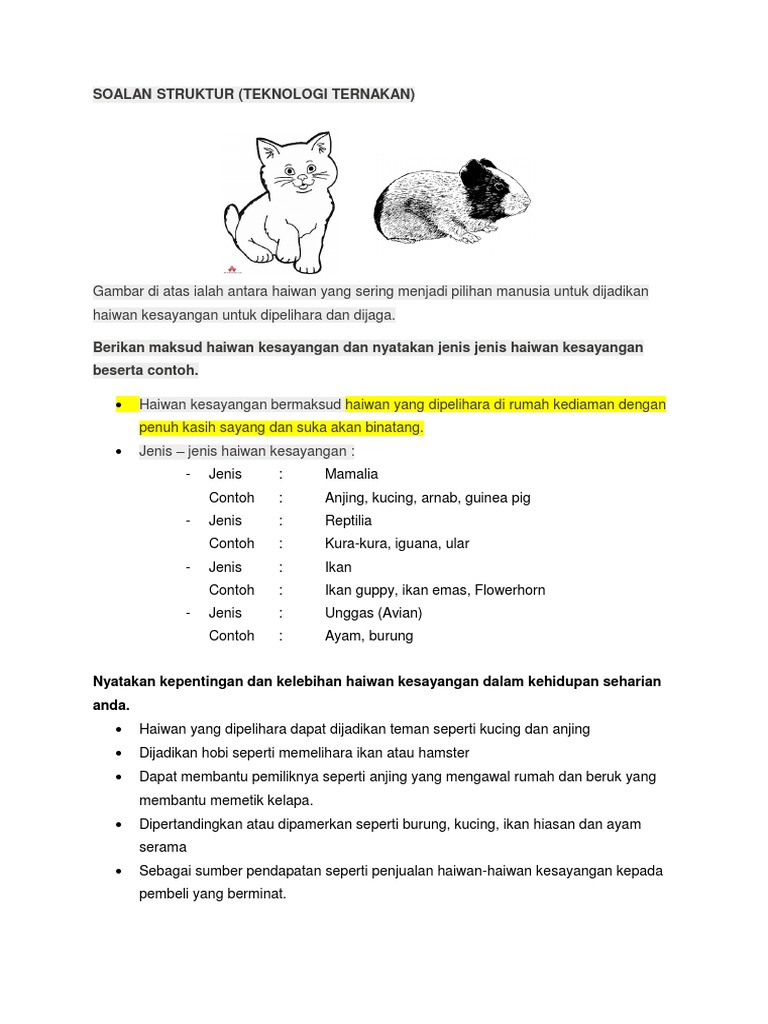 Contoh Soalan Dan Jawapan Haiwan Kesayangan Pdf