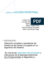 Obstruccion Intestinal