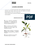 La Planta y Sus Partes