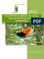 2.DIAGNOSTICO AMBIENTAL LOCAL-NC.pdf