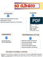 Caso Clinico 01 Final