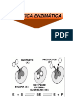 Cinetica Enzimatica