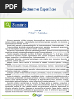 04_Conhecimentos_Especificos