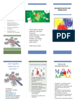 Folleto Segmentacion de Mercados