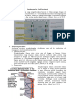 Cell Junction