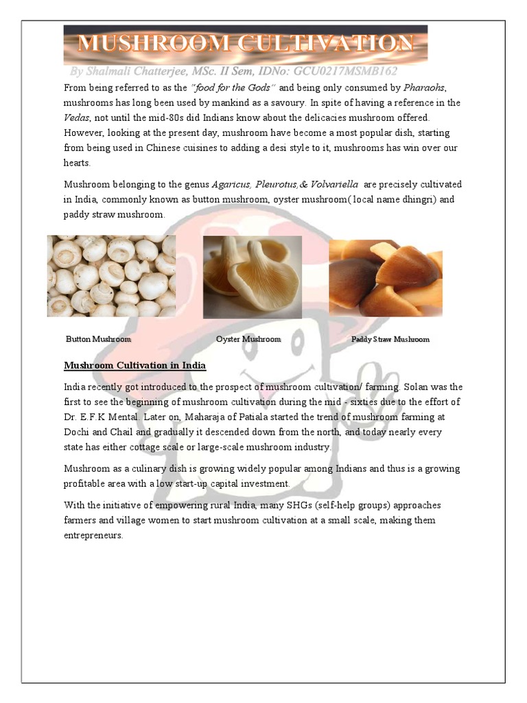 Mushroom Cultivation | PDF | Mushroom | Compost