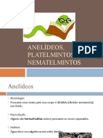 Aula 7º ano - ANELÍDEOS, PLATELMINTOS E NEMATELMINTOS