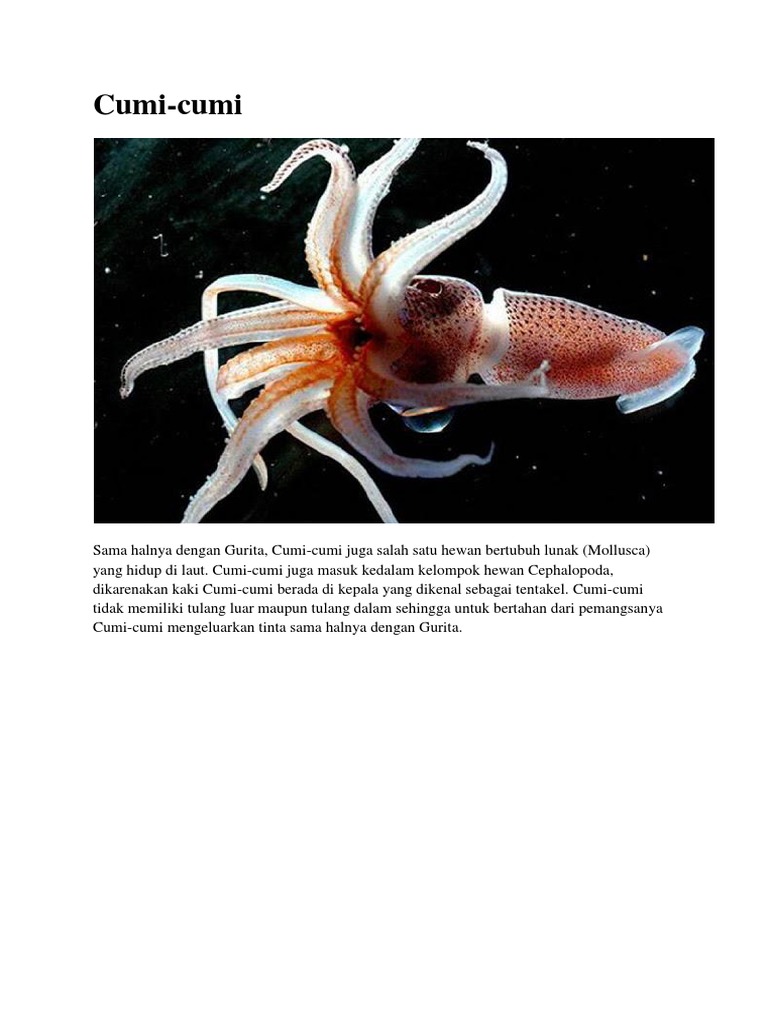 Siput Pdf